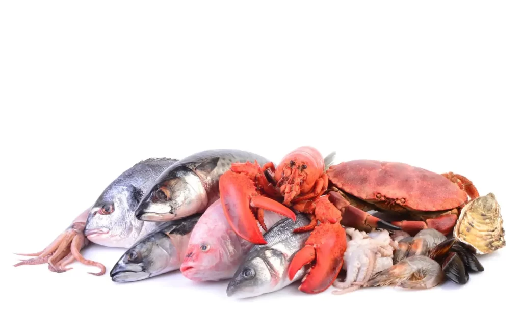 seafood is low cholesterol food